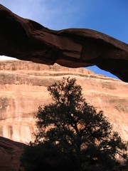 Wall Arch