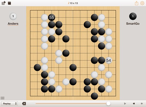 SmartGo Player
